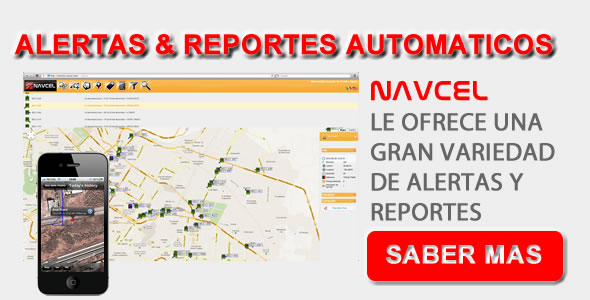 Reportes